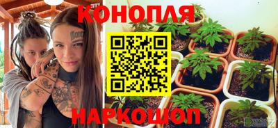 гашик Можга