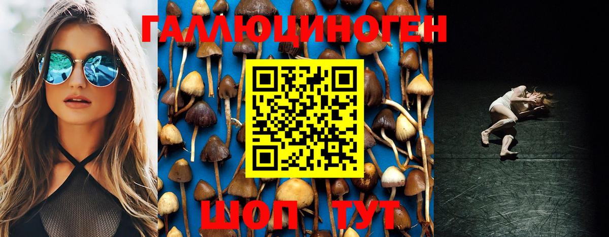 Псилоцибиновые грибы Psilocybe  Вход с VPN  Семёнов  Псилоцибиновые грибы ЛСД 